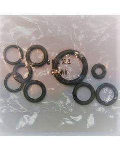 Tpi Fuel Rail o ring kit  305, 350, 5.7 83-92